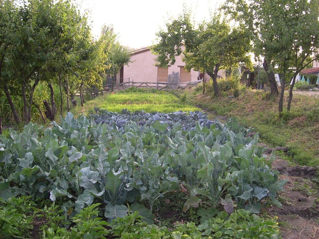 La Huerta De San Lorenzo Hotel Segovia Bagian luar foto